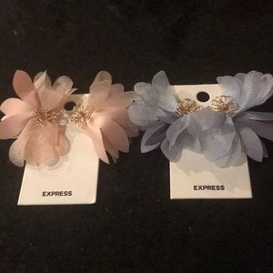 Earnings from express